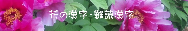 花の漢字は難読漢字 花や植物に関する漢字は難読漢字が多い